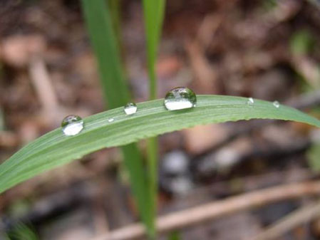 ����� ����